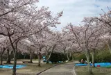 【花見スポット】摂津峡公園