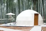 THE BAMBOO FOREST（ザ・バンブーフォレスト）