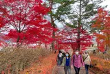旭日丘湖畔緑地公園