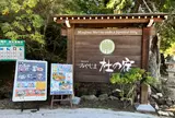国民宿舎 みやじま 杜の宿
