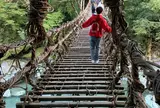 祖谷のかずら橋