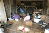 ひつじのショーンファームガーデン