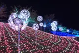 ローザンベリーイルミ2020