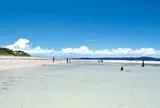 コンドイ浜