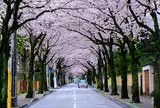 西海子小路