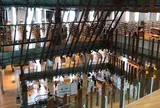 富山市ガラス美術館