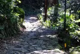 箱根旧街道　石畳