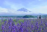 大石公園