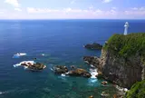 足摺岬