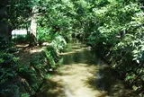 井の頭恩賜公園