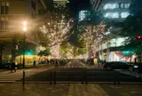 丸の内イルミネーション
