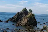 孝助松海岸