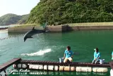 かつもとイルカパーク