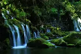 元滝伏流水