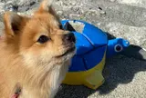 波の上うみそら公園