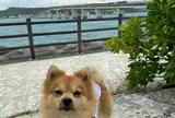 浜比嘉島