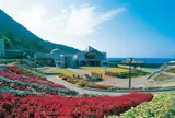 越前水仙の里公園