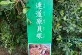 連道原貝塚のﾋﾞｰﾁ