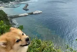 茅打ちバンタ