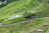 徳田の千枚田