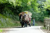 昇仙峡馬車組合事務所
