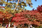 月の石もみじ公園
