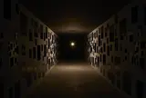 心臓音のアーカイブ