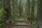熊野古道大門坂