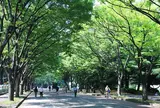 駒沢オリンピック公園