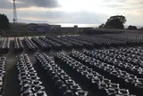 坂元のくろず「壺畑」情報館