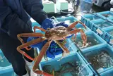 舞鶴西港