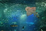 新江ノ島水族館