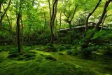 祇王寺