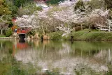 大覚寺