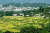 寺坂棚田