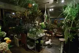 小路苑