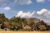 落柿舎