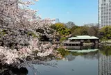 浜離宮恩賜庭園