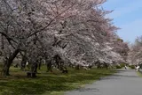 小石川後楽園