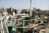 浅草花やしき