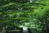 北の丸公園