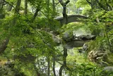 〔広尾方面〕有栖川宮記念公園
