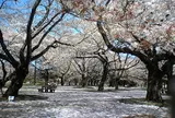 都立小金井公園