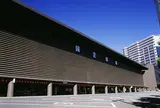 国立劇場  🌸見頃満開