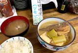 魚力