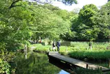 国立科学博物館附属自然教育園