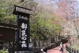 都民の森