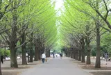 光が丘公園