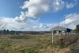 ジャージー牛ふれあい広場