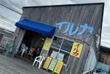 イルカ